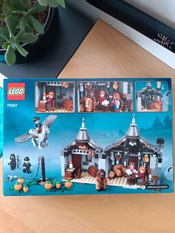 ☘️ LEGO Harry Potter 75947 Hagridova bouda: Záchrana Klofana - 3