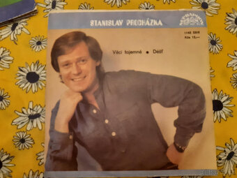 SP deska ružné druhy výběr dle foto 2 - 3