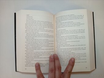 Slzotvůrce - Erin Doom - 3