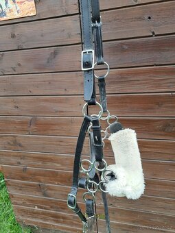 F.R.A. Hackamore uzdečka - 3