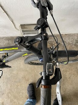 Leader Fox - Trek - 3