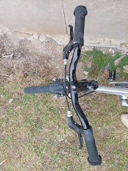Early Rider Belter 16" - 3
