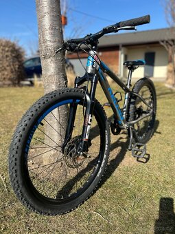 Kellys Marc 70 24" - 3