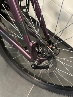 Dirt kolo Kellys whip 10 purple - 3