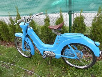 Jawetta - 3