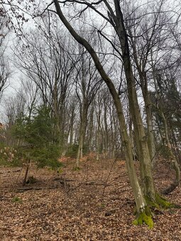 Prodej pozemků k.ú. Huslenky (3) - 3