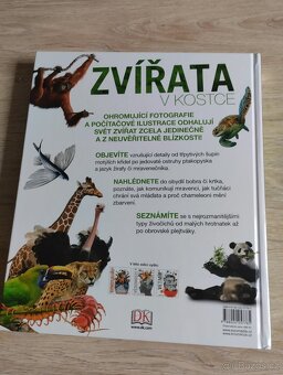 Zvířata v kostce - 3