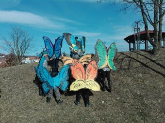 Kostými motýlů 6 kusů - 3