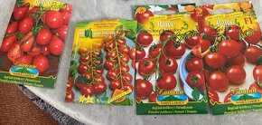Sazenice | Rajčata a papriky - 3