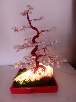 Bonsai - 3