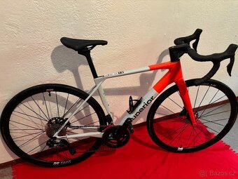 Silniční kolo Superior X-ROAD 9.5 GF - 3