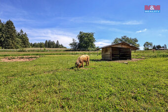 Pozemek u lesa o výměře 4173 v Bedřichově - 3