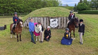 Velšský horský pony -welsh mountaine pony - 3