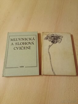 Česká literatura první poloviny XX století - 3