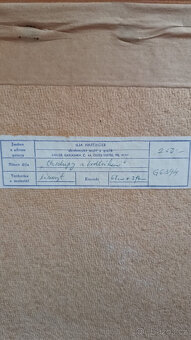 Chalupy s bodlákem - Ilja Hartinger - 3