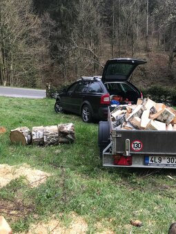 Kácení stromů, sekání trávy - 3