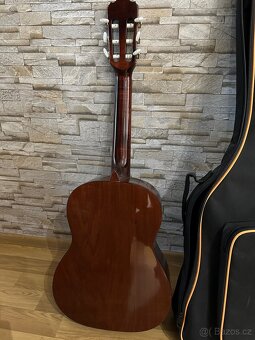 Kytara BLOND Espina 1/2 - 3