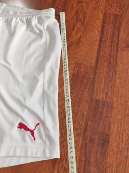 Pánské kraťasy AC Milan Puma Dry Cell – vel. L - 3