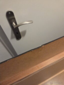 Velký obraz zebry - 3