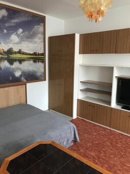 Pronájem bytu 1+1 Děčín-Bynov - 3