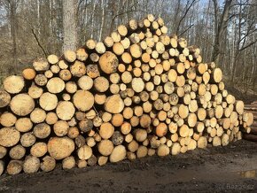 Palivové dřevo v kládách - 3