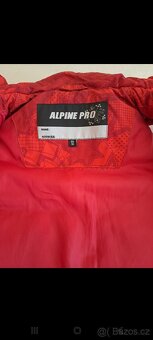 Vesta Alpin-pro - 3