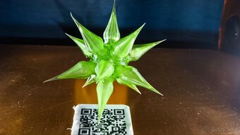 👉 3D tisk z resinu – modely na přání - 3