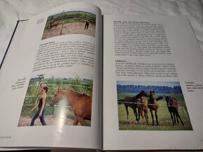 Odborná literatura o koních, jezdectví - Trénink koně - 3