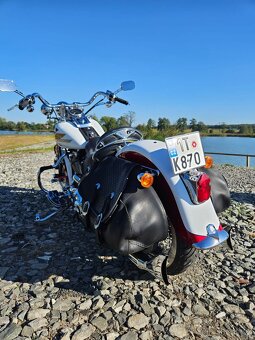 Harley Davidson Heritage Springer flsts - 3