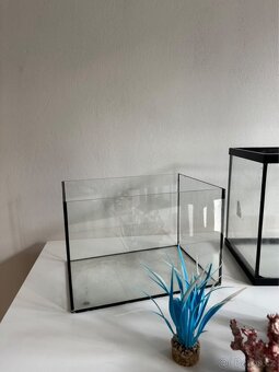 Akvária - 3