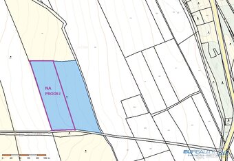 Louka 8.000 m2, Police nad Metují - Radešov - 3