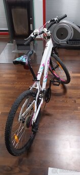 Dívčí horské kolo Cygnus Dirt Berry 24 - 3