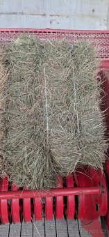 Seno - malé balíky - 3