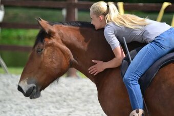 Částečný pronájem - 3