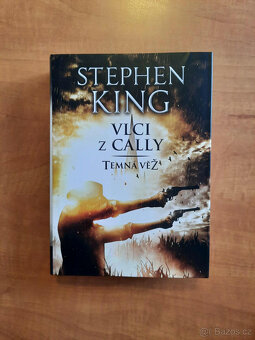 Stephen King - Vlci z Cally a Temná věž - 3