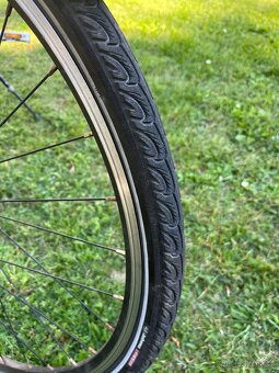 Leader Fox Toscana Lady 19’ - 3