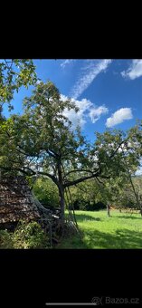 Oskerušovice 49% - 3