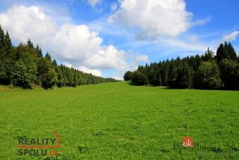 Prodej, pozemky/pole, 125617 m2, 51801 Dobruška, Rychnov nad - 3