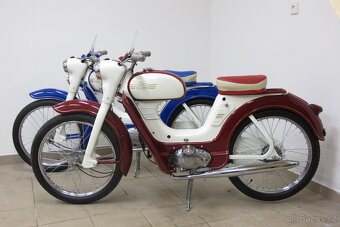 JAWETTA SPORT - 3
