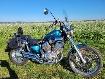 Virago xv535 - 3