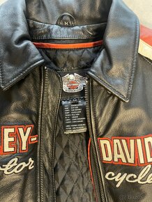 Harley Davidson bunda - 3