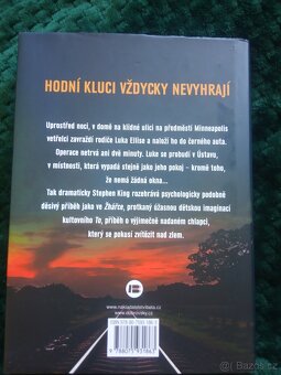 Stephen KING: ÚSTAV - 3