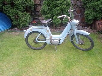 Jawetta 551 - 3