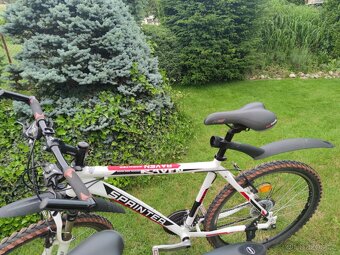 Horská kola Sprinter Raven - 3