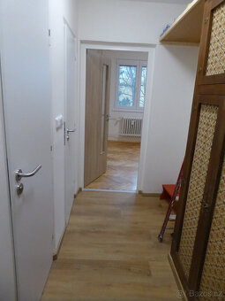 Pronájem bytu Vídeňská - 3