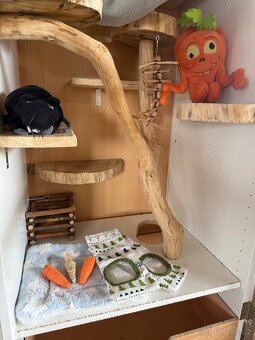 Skříňoklec klec činčila - 3