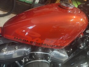 Harley Davidson Forty Eight 1200 - 3