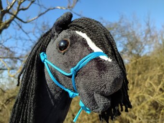 Hobby horse - 3
