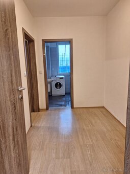 1kk , 29 m2, Chotěšov - 3