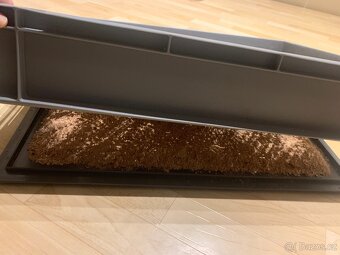 GENERACE POTEMNÍKA MOUČNÉHO (Tenebrio molitor) - 3